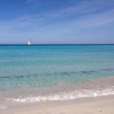 Piovanacce - T3 Avec Pisicne Privee 10min De Saint-florent Barbaggio