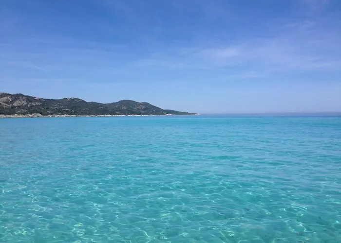 Piovanacce - T3 Avec Pisicne Privee 10min De Saint-florent Lejlighed *