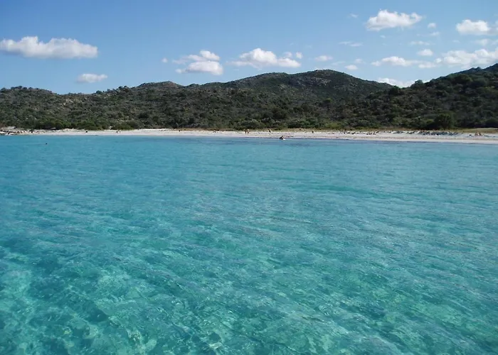 Piovanacce - T3 Avec Pisicne Privee 10min De Saint-florent Apartment *